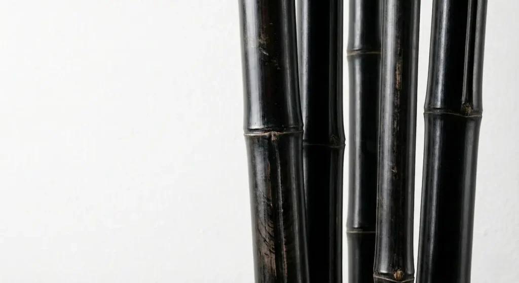 Detalle técnico de cañas de bambú negro frente a muro de diseño blanco.