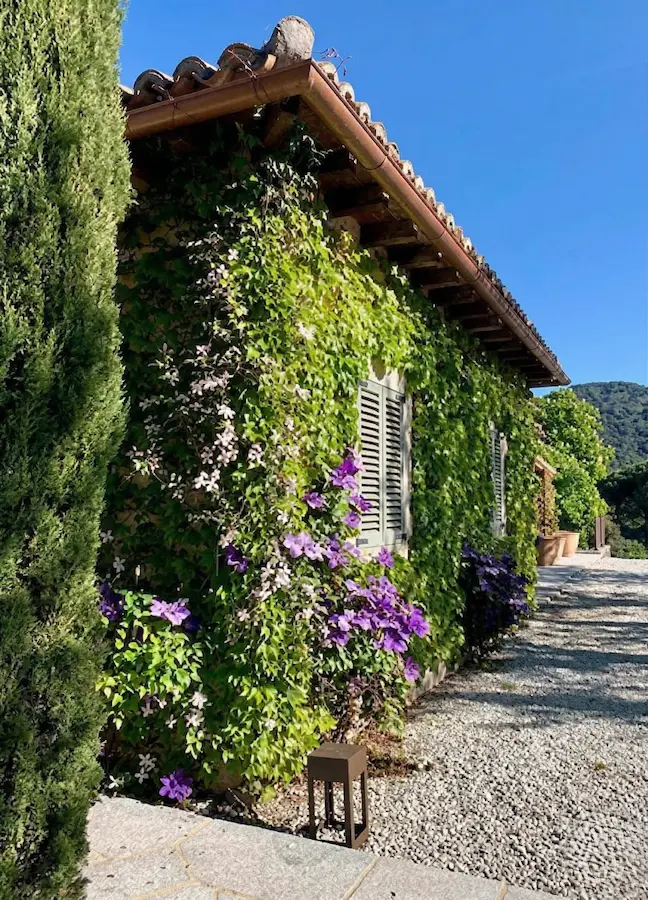 Fachada de mampostería de casa de campo con trepadoras cubriendo y vegetación circundante en concordancia con el estilo