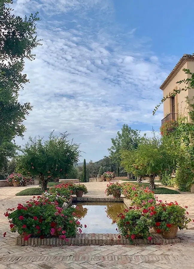 jardín en sierra cordobesa, el agua como elemento central