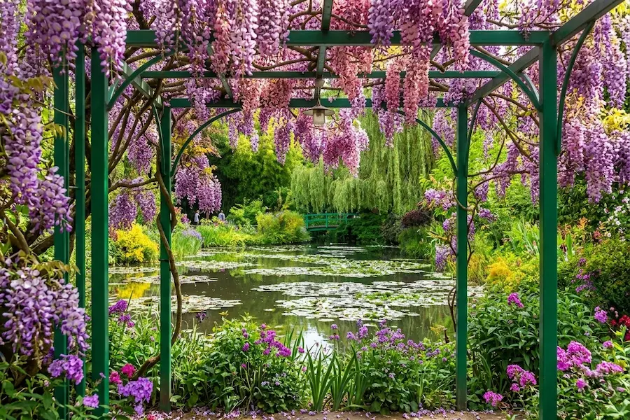 vista panorámica estanque jardines de monet