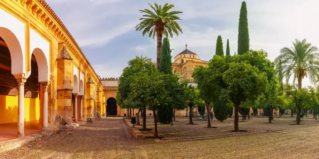 patio de los naranjos con vestigios de alguna palmera especie originaria en su fundación