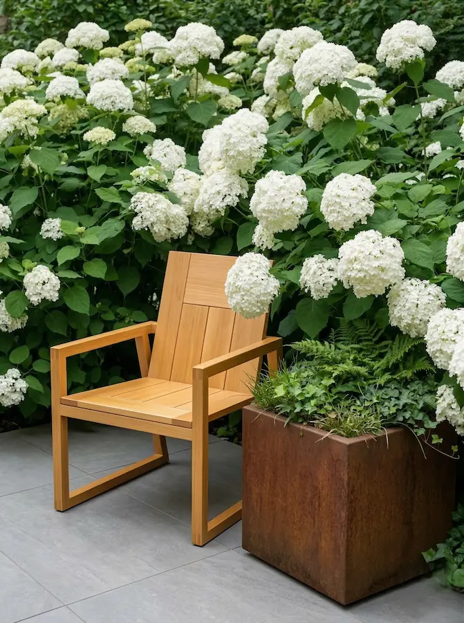silla de madera estilo moderno con maceta de acero corten rodeada de hortensia blanca