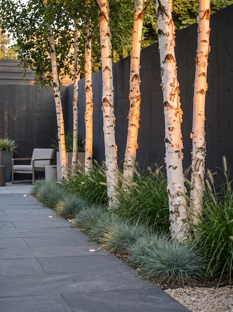 abedules en perimetro jardín chalet urbano