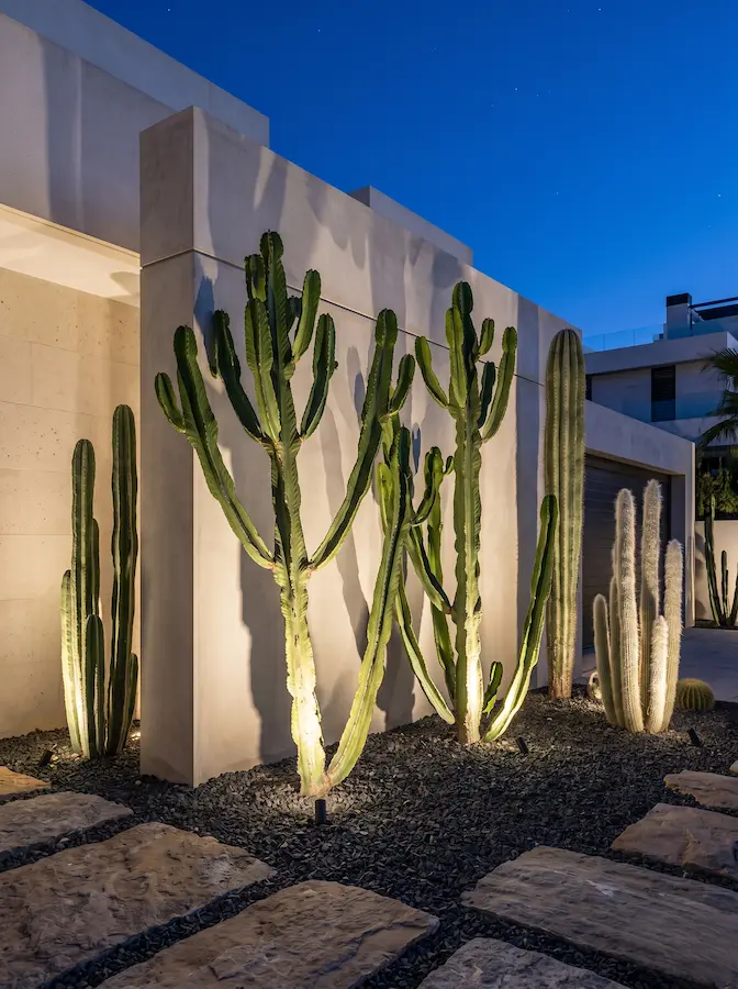 El cactus, despojado de sus connotaciones rústicas, se revela como un elemento constructivo de primer orden en el diseño contemporáneo, destacando en ambientes nocturnos bien iluminados