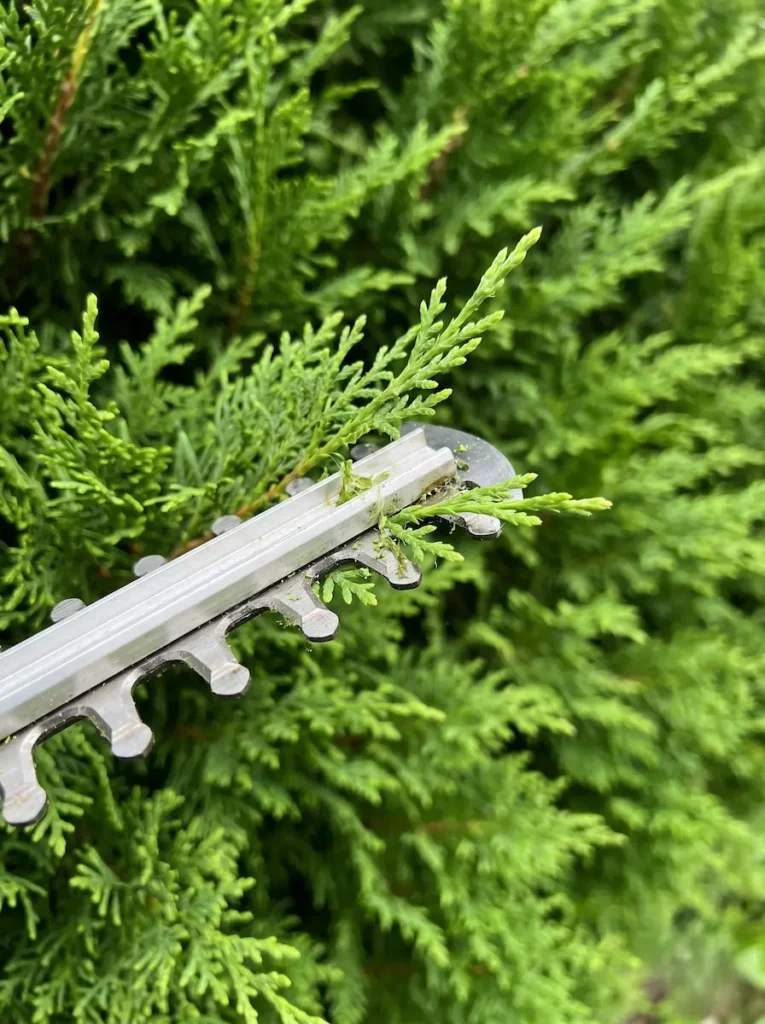 Para alcanzar un acabado de excelencia, el empleo de maquinaria de estándar profesional es innegociable.