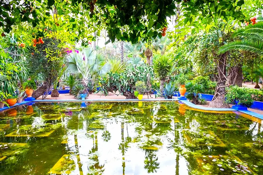 estanque majorelle marrakech