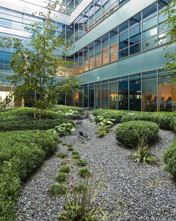 vista de cauce de grava antracita entre promontorios de boj