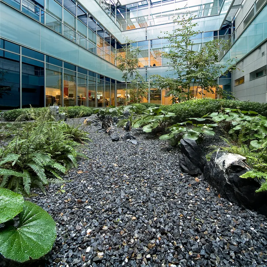 patio gorbea vista desde el suelo