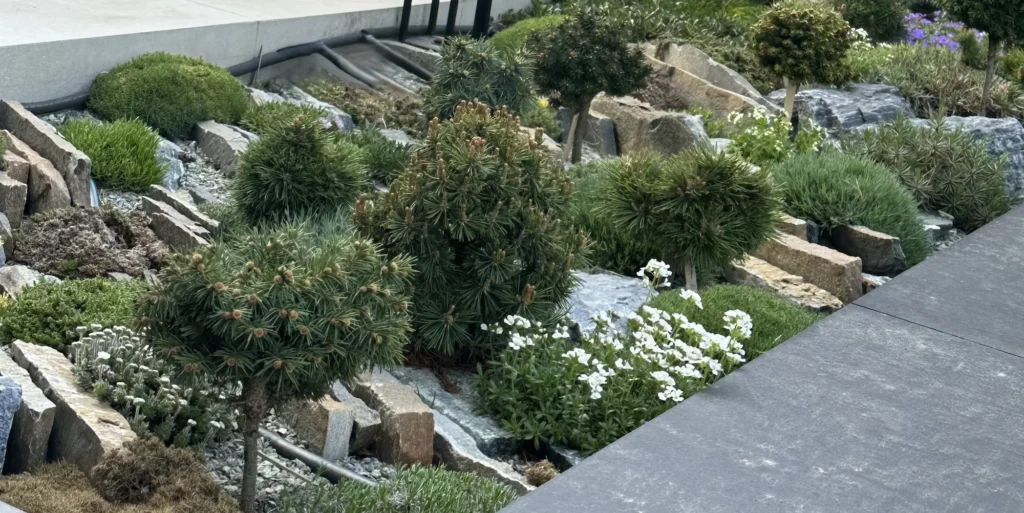 jardín de grietas checo