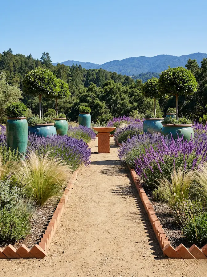 El sendero de grava, bordeado por una bordura rústica de ladrillo en zigzag, se flanquea por macizos de lavanda y gramíneas