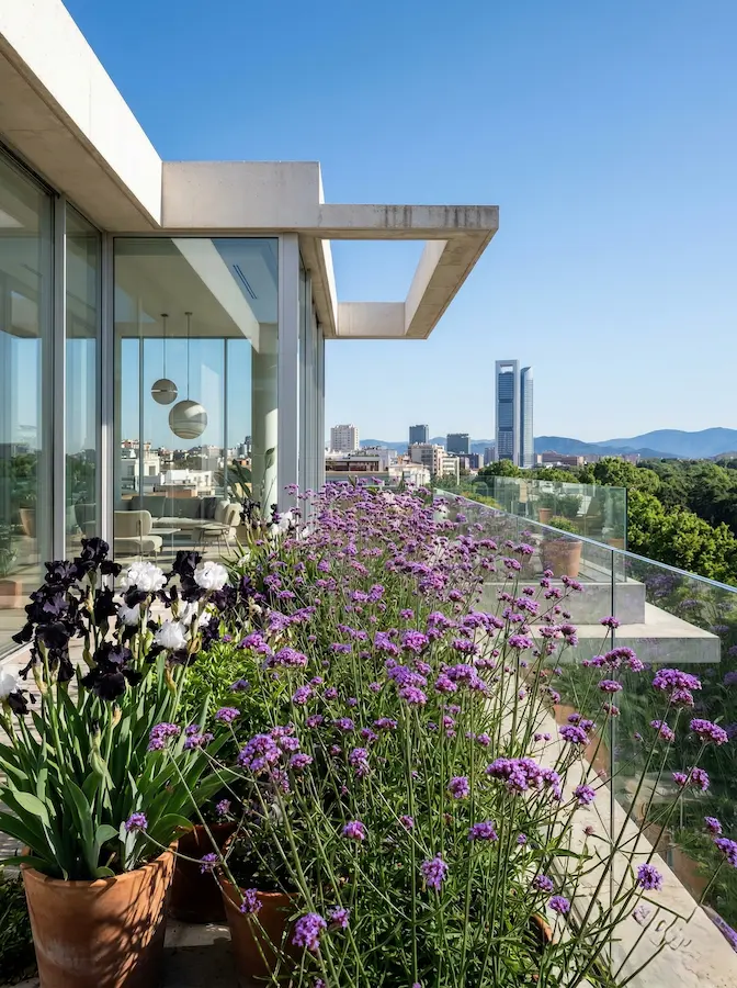 composición en azotea de madrid con verbena bonaerensis e iris germanica
