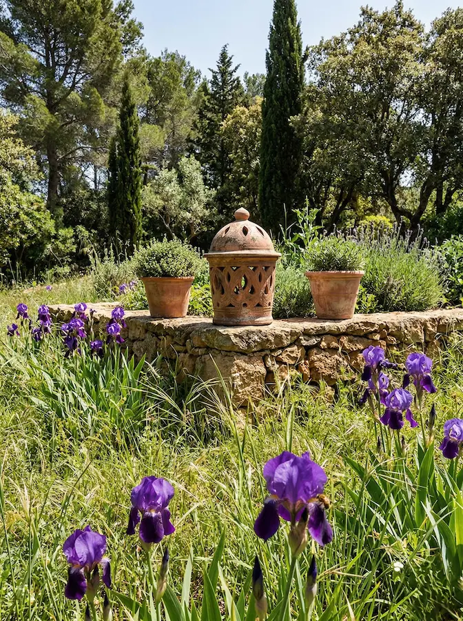 composición rústica con lirios y herbáceas con vegetación mediterránea de fondo