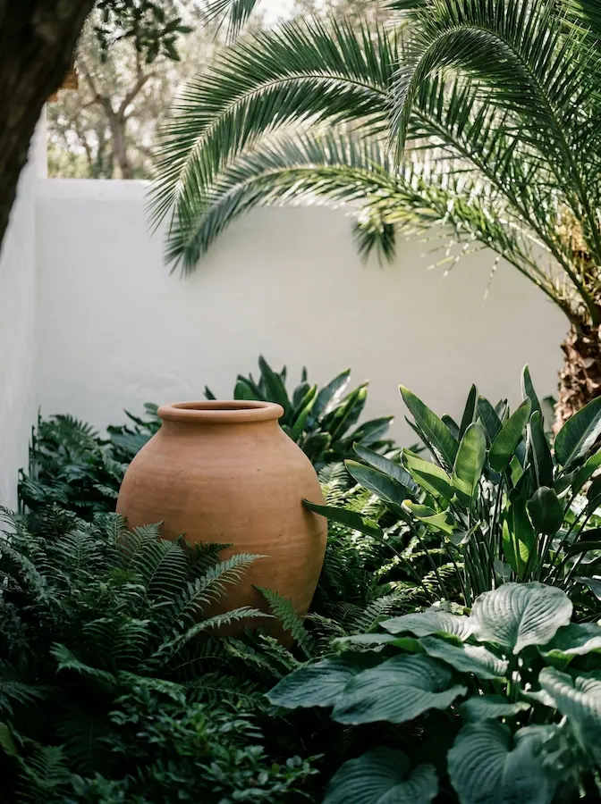 Rodeando la tinaja, un sotobosque denso y fresco respira misterio. Es una lección de texturas a ras de suelo: la suavidad de los helechos, el brillo encerado de las hojas de las hostas