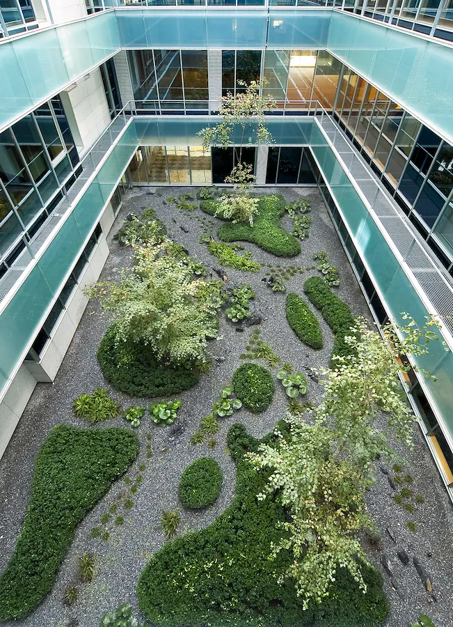 vista aerea de patio 2