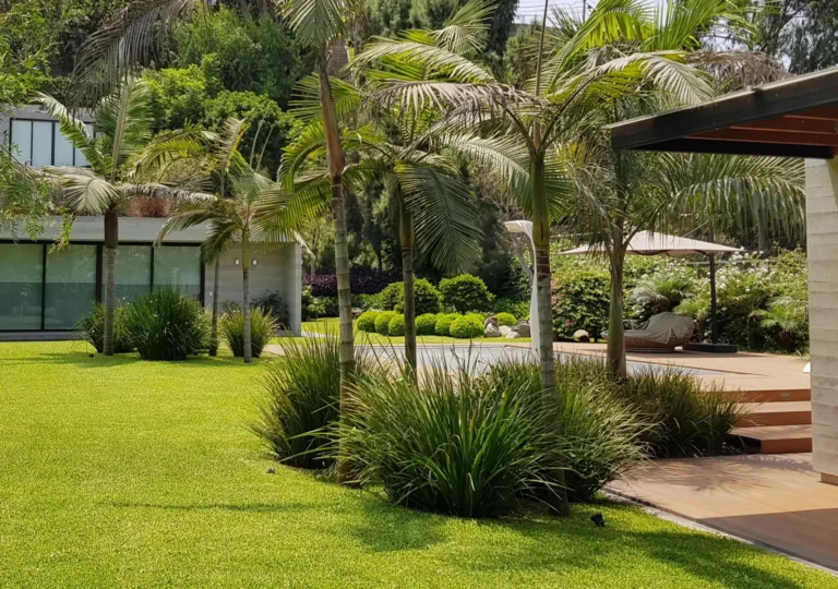 Explanada del jardín con piscina tarima de madera y vivienda de arquitectura contemporánea rodeada de vegetación en Lima