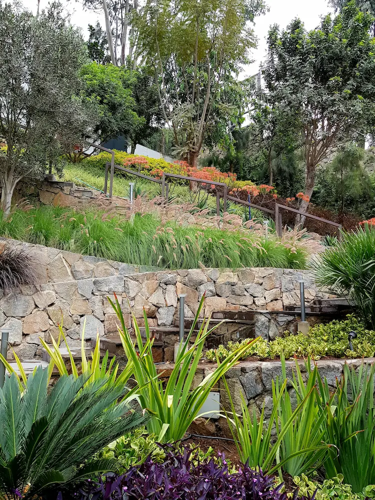 Stone retaining wall with stepped garden and metal railing lush ornamental grasses and flowering shrubs on a terraced landscape