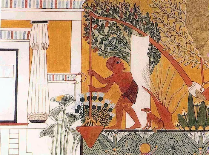 gráfico sobre papiro  del uso del cigoñal en el antiguo Egipto