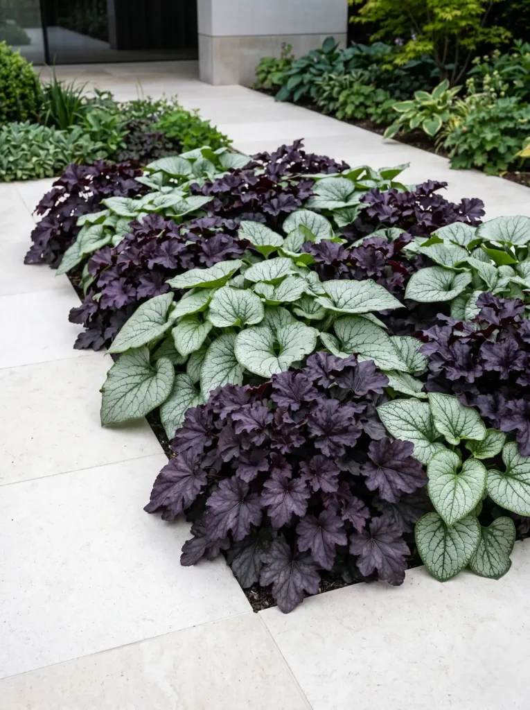 heuchera con hosta jardinesconestiloblog Combinación de Heuchera oscura y Brunnera plateada junto a un sendero de piedra caliza de corte limpio