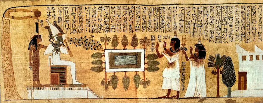 papiro con información sobre la vegetación en jardín en el antiguo Egipto
