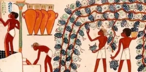cultivo de vides en pérgolas antiguo Egipto