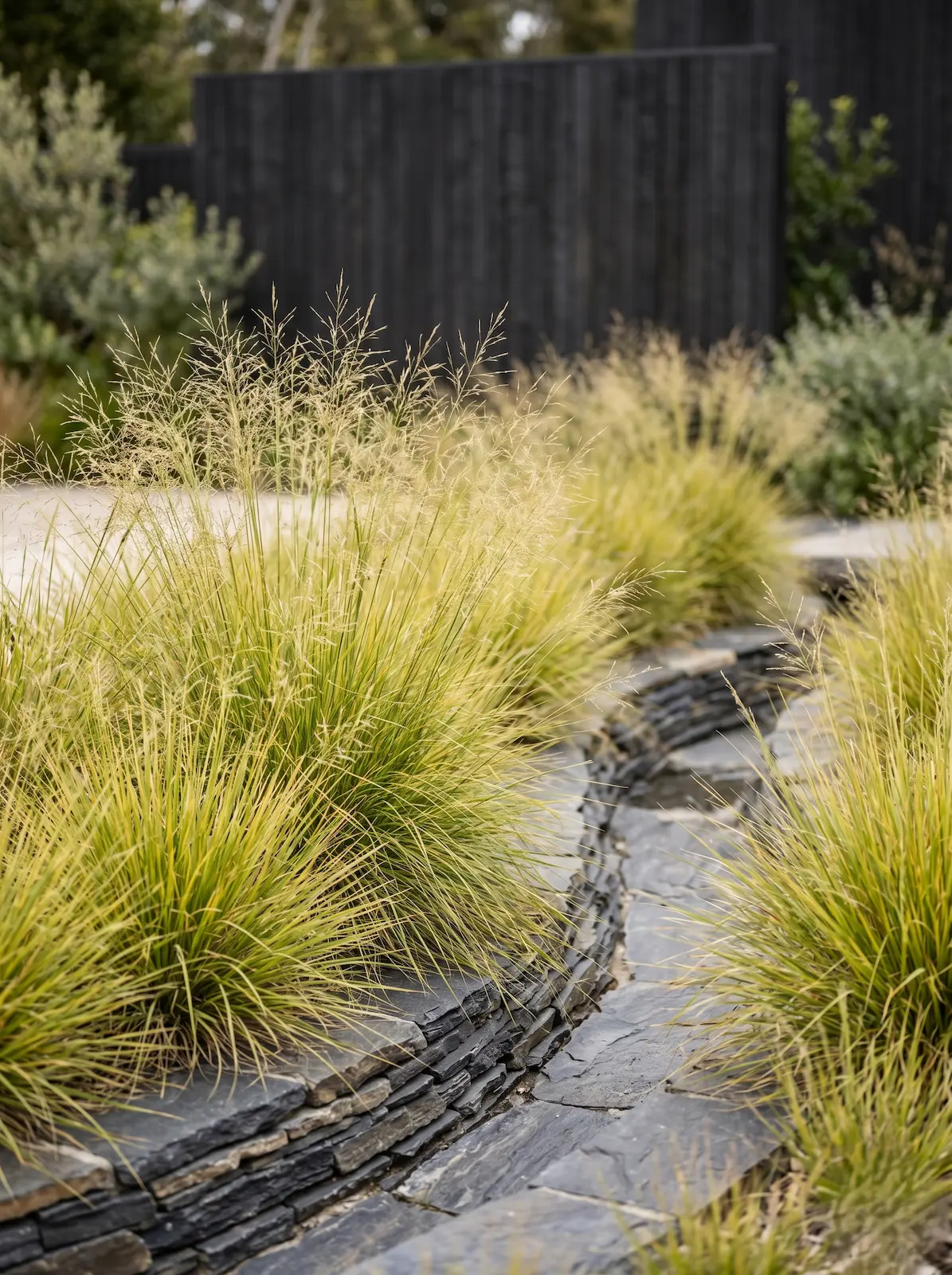 acequia de pizarra jardinesconestiloblog Acequia De Pizarra Técnicas Avanzadas De Captación De Agua De Lluvia Y Diseño De Aljibes En El Paisajismo Del Desierto