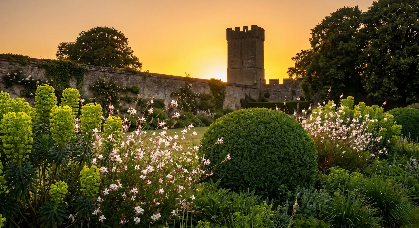 composición boj gauras y characias con castillo de fondo | jardinesconestiloblog Composición Boj Gauras Y Characias Con Castillo De Fondo Un Paseo Por La Campiña Inglesa Tres Ejemplos De Maestría Paisajística