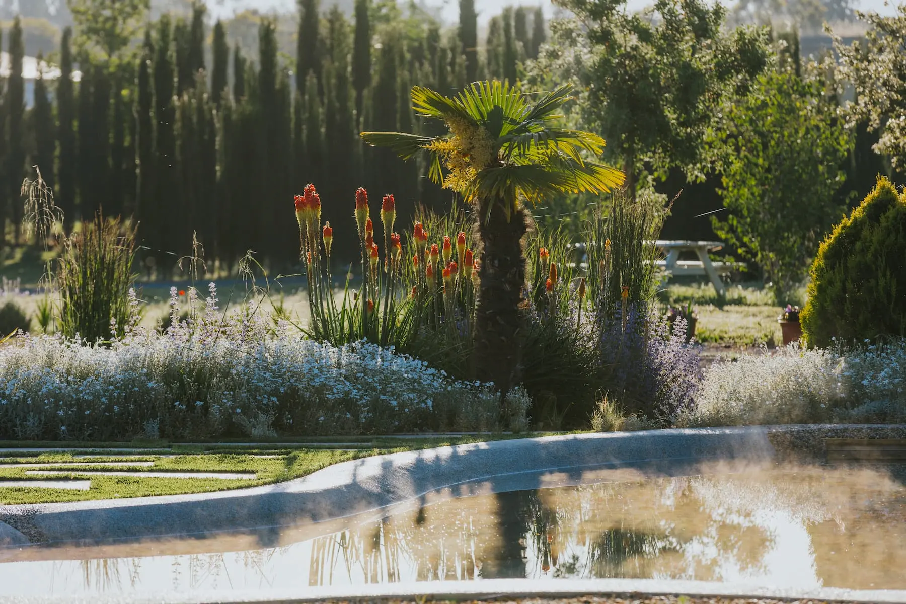 vista de macizo corregido al lado piscina haro | jardinesconestiloblog Vista De Macizo Corregido Al Lado Piscina Haro Arquitectura Del Paisaje En Haro Piscinas De Arena Topografía Modelada Y Diseño Orgánico